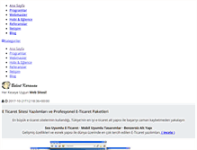 Tablet Screenshot of bulentkaraman.com